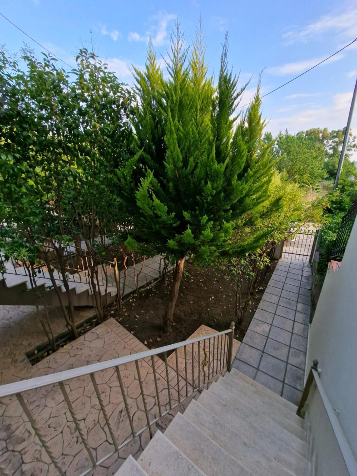 Mihalis Apartment Nikiti (Sithonia)