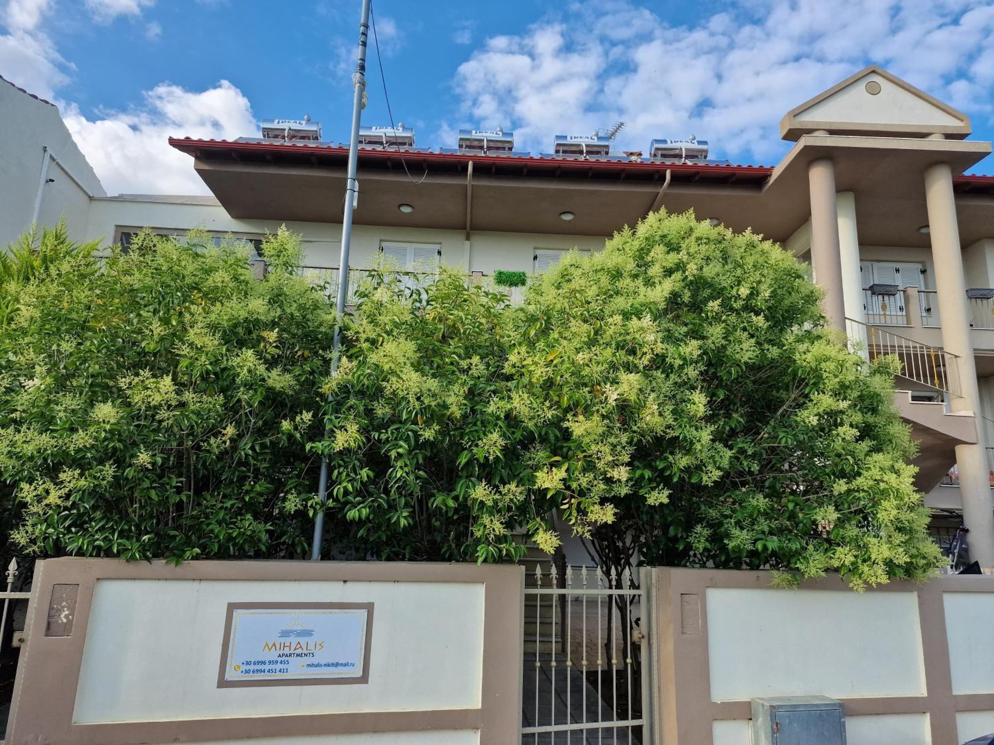 Apartment Mihalis Nikiti (Sithonia)